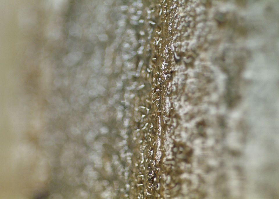 Carottage gros plan de surface © Université de Bordeaux