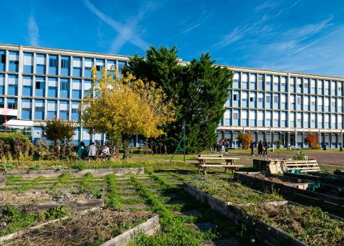 Photo Les jardins partagés sur le campus Périgord © Gautier Dufau