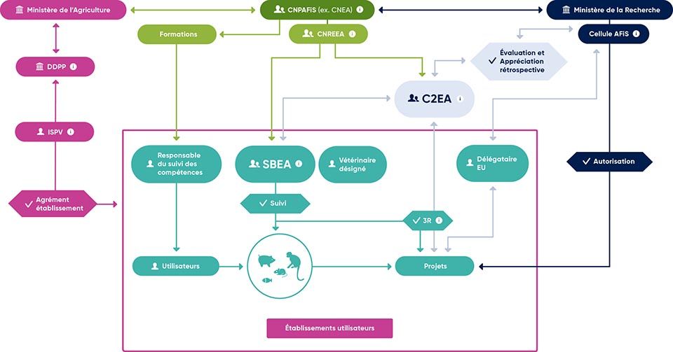 Réseau national des Structures chargées du bien-être des animaux © Réseau national SBEA