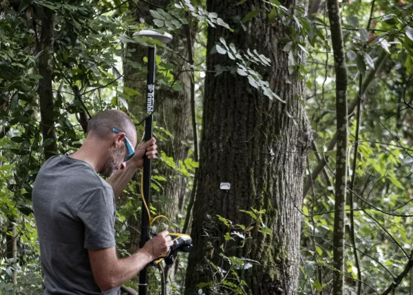 Photo : Sous-bois du living lab de la forêt expérimentale à l'Observatoire de Floirac © Service Culture